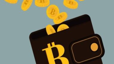 wallet Bitcoin