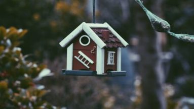 Un achat dans l’immobilier demande la plus grande précaution