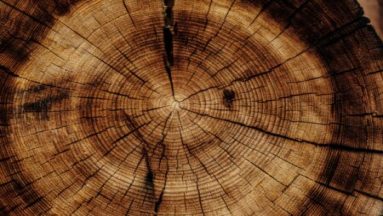 Comment stocker son bois de chauffage ?