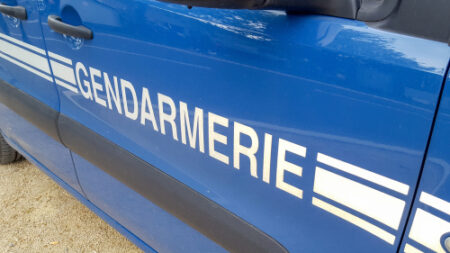 2012 Annecy 'Meurtre dans les Alpes' d'une famille britannique : rappel à la police de l'arme à feu