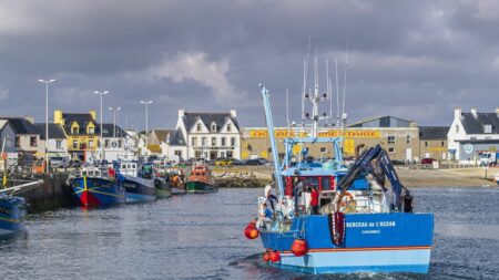L'aide aux carburants pour les pêcheurs sera prolongée jusqu'en octobre, annonce Emmanuel Macron
                              Le coût de cette aide carburant est d'"environ 2,5 millions d'euros par mois", a déclaré le secrétaire d'Etat à la Mer.