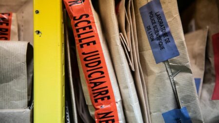 Pôle dédié aux cold case : "L'espoir est immense pour les familles", soulève une avocate alors que 77 dossiers ont été rouverts
                              Le pôle des affaires classées, aussi appelé cold case, de Nanterre, créé il y a un peu plus d'un an, a repris 77 affaires non élucidées, 40 de plus par rapport à septembre dernier. Pour l'avocate péna...