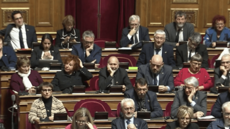 Réforme des retraites : la droite pose ses conditions au Sénat
                              L'examen de la réforme des retraites va débuter au Sénat le jeudi 2 mars, pour deux semaines de débats. La droite et le centre, majoritaires, sont favorables à la réforme, mais les Républicains posent...