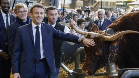 Salon de l'agriculture : ce qu'il faut retenir des déclarations d'Emmanuel Macron
                              Le chef de l'Etat a abordé des thématiques importantes pour les agriculteurs, comme la sécheresse ou les prix de l'alimentation, mais aussi la réforme des retraites et la guerre en Ukraine.