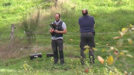 Disparitions inquiétantes : face à l'urgence, comment les enquêteurs travaillent-ils ?