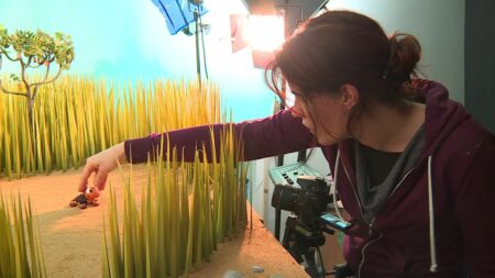 À Nancy, un film d'animation en stop-motion pour sensibiliser les enfants au cyberharcèlement
                              C'est l'un des premiers films d'animation en stop motion produit entièrement à Nancy, avec de nombreux acteurs locaux. Le court-métrage, inspiré des contes africains, dénonce le harcèlement scolaire e...