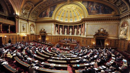 Retraites : la commission mixte paritaire, nouvel angle d'attaque de LFI et du RN contre le gouvernement
                              Après l’Assemblée, le Sénat examinera le projet de loi sur les retraites dans une semaine. L’étape d’après sera ce qu’on appelle une commission mixte paritaire (CMP), une étape que les oppositions dén...