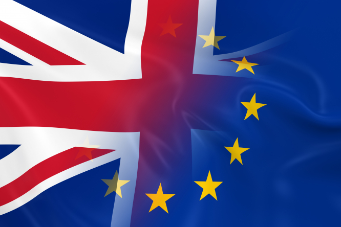 L'actualité du Brexit en bref: Ferries, votes, cartes WA, site de naturalisation