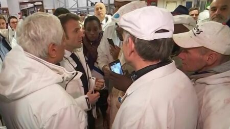 "A 35 ans, j'avais déjà mal au dos" : à Rungis, Rachel Keke interpelle Emmanuel Macron, venu défendre la réforme des retraites
                              Le président de la République s'est rendu à Rungis, mardi. Parmi les salariés du marché de gros qu'il a croisés, la députée La France insoumise du Val-de-Marne.