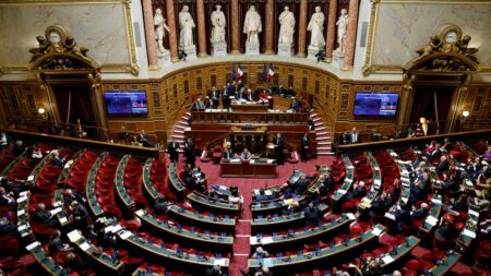 Réforme des retraites : "Au Sénat, on n'est pas au spectacle", taclent des parlementaires avant l'examen du texte
                              La réforme des retraites arrive cette semaine au Sénat pour les premiers débats en séance. Cette fois, la majorité est composée de la droite et du centre. Cette majorité est favorable au report de l'â...