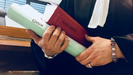 Retrait automatique de l'autorité parentale en cas de violence : le juge devient "un peu un distributeur automatique de peine", regrette une avocate