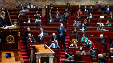 Réforme des retraites : pourquoi les critiques fusent entre La France insoumise et les autres partis de la Nupes