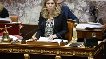 Est-ce que la présidente de l'Assemblée nationale a "omis" de déclarer des actions TotalEnergies, comme le dit une députée LFI ?
                              Selon la Haute autorité pour la transparence de la vie publique, il n'y a pas eu d'omission même si elle a demandé des rectifications à Yaël Braun-Pivet.