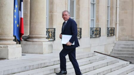 Affaire des assistants d'eurodéputés MoDem : François Bayrou et dix autres personnes renvoyés devant un tribunal
                              Un non-lieu a en revanche été ordonné pour l'ancienne ministre Sylvie Goulard.