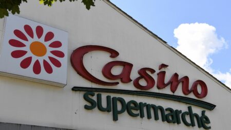 Casino et Intermarché condamnés à 4 millions d'euros d'amende pour "pratiques restrictives de concurrence"
                              Selon la cour, les deux enseignes avaient exigé de certains fournisseurs "des investissements supplémentaires sans contrepartie effective et sous la menace de mesures de représailles".