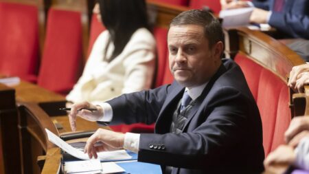 Motion de censure : "Il y aurait pu y avoir plus de votes LR mais les pressions ont fait leur travail", dénonce le LR Pierre Cordier, qui a voté la motion
                              Le député Les Républicains a voté la motion de censure "transpartisane" déposée par le groupe Liot qui a été rejetée à neuf voix près, avec 19 voix des LR sur 61.