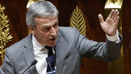 Retraites : "Il faut prendre le risque" du vote, estime un député MoDem, membre de la commission mixte paritaire
                              "Il faut que cette réforme passe" défend Philippe Vigier qui salue de "vrais débats approfondis" lors de la commission mixte paritaire.