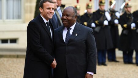 Reportage
                     "Il vient pour la forêt ou pour encore placer Ali Bongo ?" : au Gabon, des opposants critiquent la visite d'Emmanuel Macron
                              Emmanuel Macron entame ce mercredi une tournée de quatre jours en Afrique avec, au Gabon, un sommet pour la préservation de la forêt équatoriale, à moins de six mois d’une élection présidentielle.
