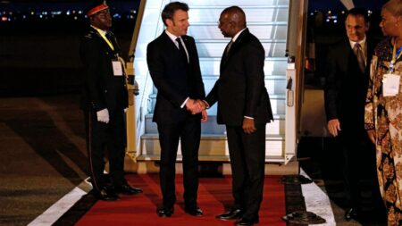 Emmanuel Macron en Afrique : opération séduction en Angola, avec des espoirs de relations économiques autour de l'agriculture
                              Emmanuel Macron se rend en Angola vendredi 3 mars, dans le cadre de sa tournée en Afrique. Ce pays n'a jamais fait partie de la sphère d'influence de la France. L'Angola importe énormément, l'Elysée e...