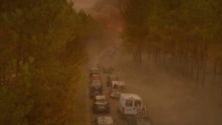 Cinéma : "En plein feu", un film prémonitoire sur les incendies des Landes
                              "En plein feu" sort cette semaine sur les écrans, avec André Dussolier et Alex Lutz. Il raconte l'histoire d'un père et de son fils, prisonniers d'un incendie dans les Landes. Le film a été tourné ava...
