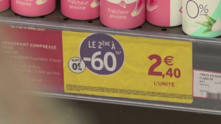 Consommation : les promos au rayon hygiène seront-elles désormais limitées ?
                              Malgré une inflation à 6,3% en février, ce pourrait être la fin des super promotions pour les produits d'hygiène ou d'entretien. Députés et sénateurs se sont en effet mis d'accord, mercredi 15 mars, p...