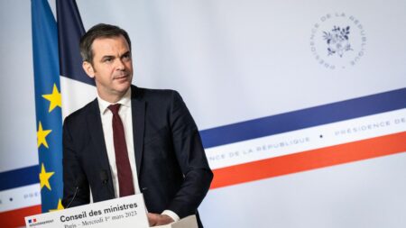 TikTok : Olivier Véran assure qu'"aucun téléphone professionnel de ministre n'est équipé" de l'application
                              Plusieurs gouvernements et institutions ont interdit à leurs employés l'utilisation du réseau social chinois, en raison d'inquiétudes en matière de sécurité des données.