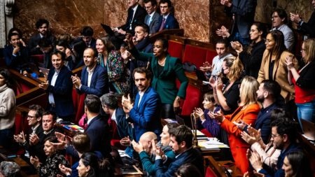 Motion de censure, référendum, Conseil constitutionnel… Pourquoi le dossier des retraites n'est pas clos, même après l'utilisation du 49.3
                              Certes, le passage en force du gouvernement, jeudi, pour faire passer le projet de loi ouvre la voie à une promulgation du texte. Toutefois, les oppositions comptent utiliser leurs dernières armes pou...