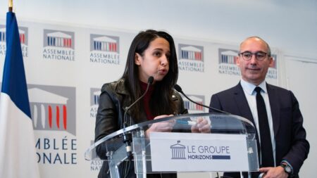 Lutte contre la récidive : les députés Horizons retirent leur proposition de loi en dénonçant "un gâchis"
                              Les alliés Renaissance et MoDem s'étaient prononcés contre ce texte, y voyant le retour des "peines plancher".
