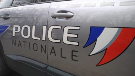 Nantes : quatre étudiantes portent plainte contre des policiers pour des attouchements, une enquête IGPN en cours
                              Une enquête de l'IGPN est en cours à Nantes après le dépôt de plainte de quatre étudiantes pour attouchements contre des policiers lors d'un contrôle et alors qu'elles participaient à une opération de...