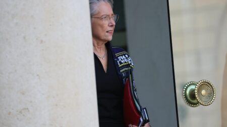 Réforme des retraites : la porte du gouvernement est-elle réellement ouverte aux syndicats ?
                              Après cette sixième journée de mobilisation, le gouvernement reste ferme sur sa réforme. Pour l’heure, il garde d’ailleurs ses distances avec les syndicats. l'Elysée affirme que "la porte du gouvernem...