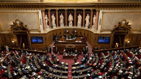 Réforme des retraites : le Sénat adopte l'article 7 sur le report de l'âge légal de départ à 64 ans
                              Le ministre du Travail Olivier Dussopt a salué dans la foulée l'adoption de l'article, se disant "satisfait que cette étape soit franchie au Sénat", sur Public Sénat.