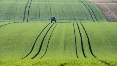 L'agriculture manque de bras
                              Nouveaux agriculteurs, c'est "Le mot de l'éco" cette semaine. Il en faudrait beaucoup pour prendre la place des anciens agriculteurs. Cela fait des années que tout le monde donne l'alerte.
