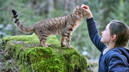 Cinéma : le film Mon chat et moi, une histoire d'émancipation
                              Le film Mon chat et moi, la grande aventure de Rroû, de Guillaume Maidatchevsky, sort en salles mercredi 5 avril. Cette comédie familiale, inspirée du récit de Maurice Genevoix, retrace l'amitié entre...