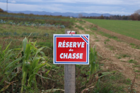 L'offre d'interdire la chasse en France le dimanche est qualifiée d'"extrêmement choquante"