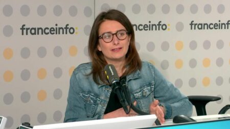 Subventions à la LDH : Marine Tondelier se dit "extrêmement choquée" par les déclarations de Gérald Darmanin
                              Les propos de Gérald Darmanin sur la subvention donnée par l'Etat à la Ligue des droits de l'homme choquent Marine Tondelier. La secrétaire nationale d'Europe Ecologie-Les Verts estime que le ministre...