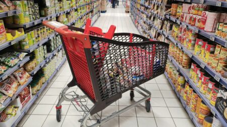 "On vise à répondre à l'urgence alimentaire" : ce que contient le projet de "prime alimentaire exceptionnelle" portée par EELV
                              Pour "mieux manger" malgré l'inflation, un texte propose une "prime alimentaire exceptionnelle pour tous les ménages", d'au moins 50 euros par personne et par mois, ainsi que l'instauration dans les c...