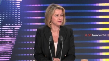 Assemblée : quatre députées de la majorité présidentielle dont Barbara Pompili prennent leurs distances avec le groupe Renaissance
                              Ces députées restent toutefois apparentées au groupe de la majorité présidentielle à l'Assemblée nationale.