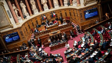 Réforme des retraites : la Nupes a déposé une nouvelle proposition de loi pour l'organisation d'un référendum d'initiative partagée
                              Cette nouvelle proposition de loi pour organiser un référendum d'initiative partagée (RIP) a été déposée au Sénat jeudi soir selon les informations de France Inter, obtenues auprès de sources parlemen...