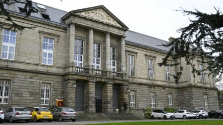 Côtes-d'Armor : un homme mis en examen pour tentative de meurtre après avoir aspergé d'essence sa compagne
                              L'homme de 38 ans a été placé en détention provisoire. Il a mis le feu à des bûches autour de sa compagne mardi à Lamballe, entraînant l'embrasement de ses cheveux, indique France Bleu Armorique.