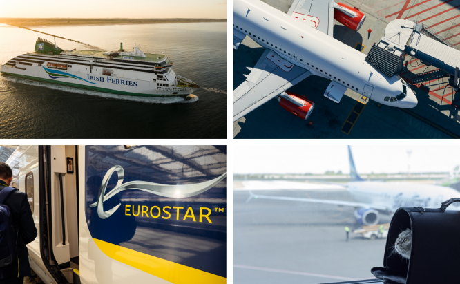 Tour d'horizon des voyages en France: hausse du prix des animaux de compagnie, interdiction des vols, drame Eurostar