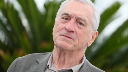Festival de Cannes 2023 : De Niro compare à Trump son personnage dans le film de Scorsese
                  A l'occasion de la projection à Cannes de "Killers of the Flower Moon", l'acteur fétiche de Martin Scorsese a comparé son personnage dans "Killers of the Flower Moon" à Donald Trump.