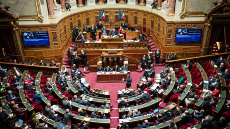 Le site du Sénat "perturbé" par une cyberattaque revendiquée par des hackers prorusses
                  Le groupe NoName a publié un message en russe et en anglais sur leur chaîne Telegram critiquant le soutien de la France à l'Ukraine.
