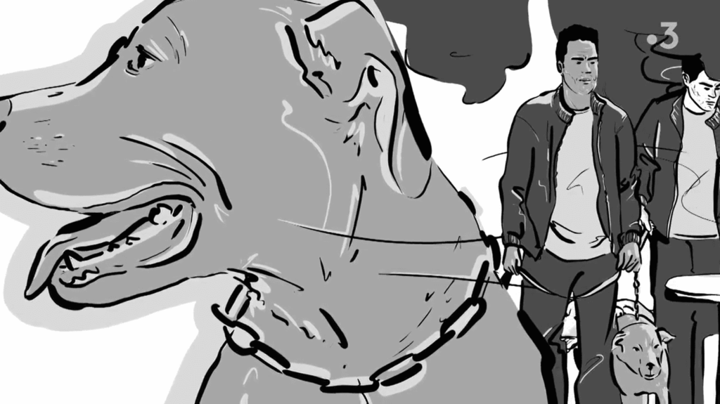 "Des hommes en cage"  ou comment des chiens réparent les victimes de stress post-traumatique
              "Des hommes en cage" est un documentaire d'une grande acuité sur le stress post-traumatique chez certains militaires, et sur ses conséquences, qui tentent d'être réparées dans une expérimentation menée dans un chenil près de Carcassonne.