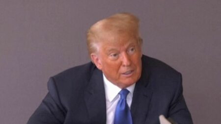 États-Unis : Donald Trump déclaré responsable d'agression sexuelle
                  L'ancien président américain Donald Trump a été reconnu responsable d'agression sexuelle par un tribunal civil de Manhattan, à New York aux États-Unis, mardi 9 mai. Une ancienne journaliste l'avait accusé de viol dans une cabine d'essayage d'un grand magasin new-yorkais en 1996.