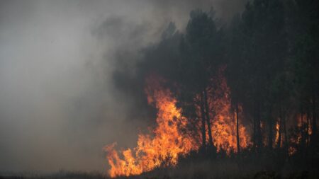 Feux de forêt : l'Assemblée nationale examine une proposition de loi sur la prévention avant un été à haut risque
                  Le texte a déjà été adopté en première lecture par le Sénat. Initié par la droite et le centre, il ne va pas assez loin, selon les députés de gauche.