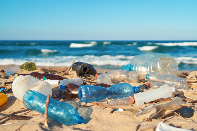 Le président français veut réduire la pollution plastique.  Comment puis-je aider?