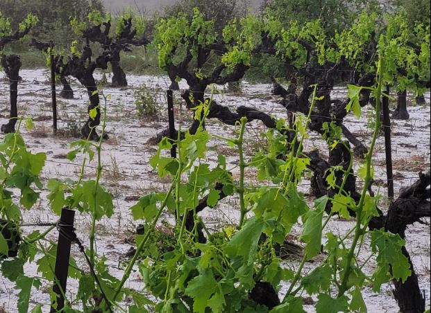Le sud de la France en alerte orage un jour après que la grêle a frappé le Gard et l'Hérault