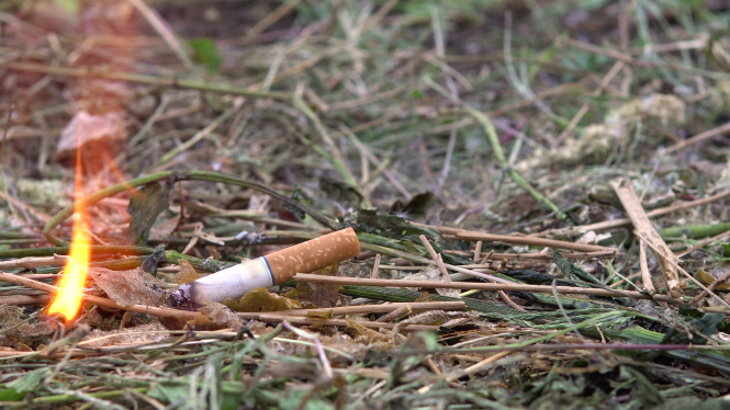 Les députés français votent pour interdire de fumer dans les forêts lorsque le risque d'incendie de forêt est élevé