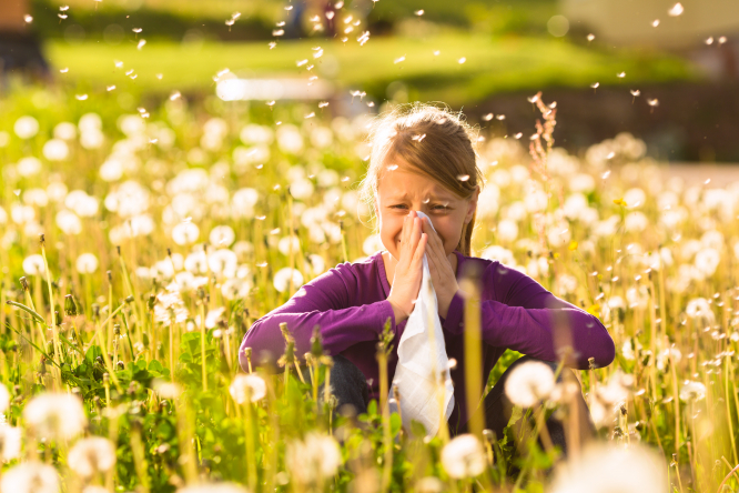 Les personnes allergiques mises en garde avec la majeure partie de la France en alerte pollinique la plus élevée