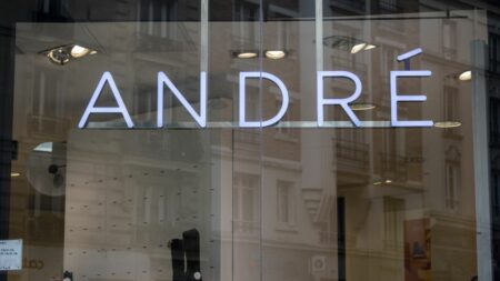 L'enseigne de chaussures André partiellement cédée à une société belge sur décision de justice
                  La société Optakare prévoit de reprendre 21 magasins sur les 49 détenus jusqu'à présent par le propriétaire de l'enseigne depuis 2020.
